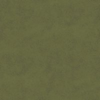 Asset preview
